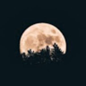 Meet your Posher, Littlemsmoonlight